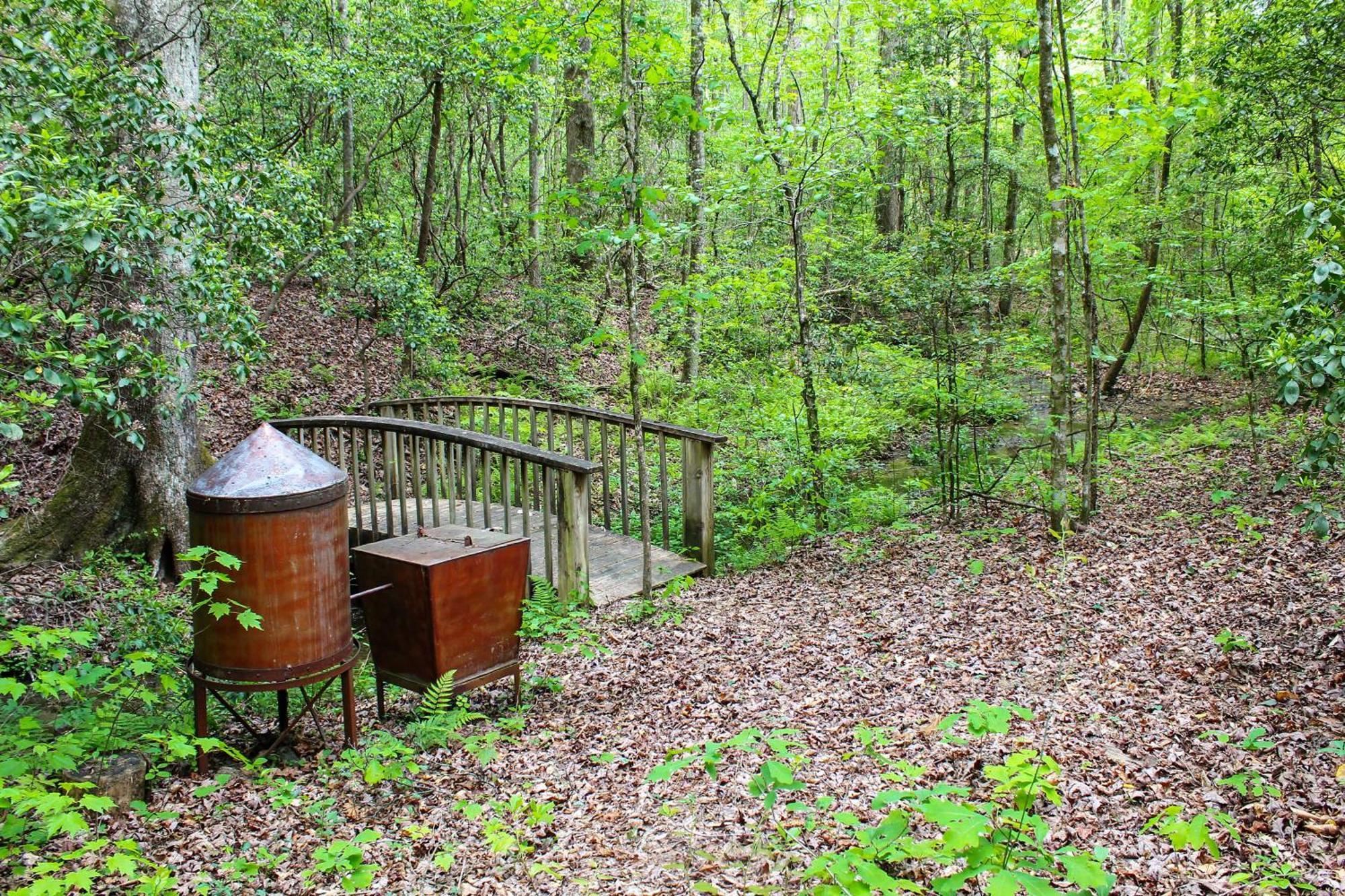 Sautee Nacoochee Mtn Paradise With Spacious Deck! Extérieur photo
